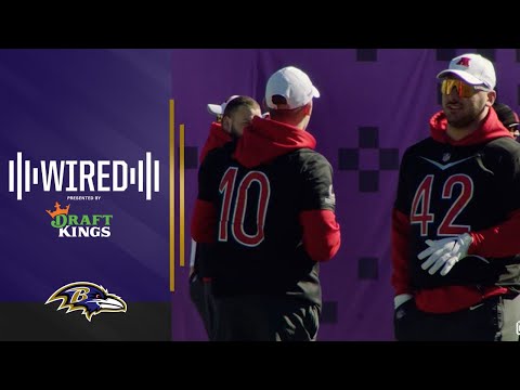 Wired: Patrick Ricard Mic'd Up at Pro Bowl | Baltimore Ravens