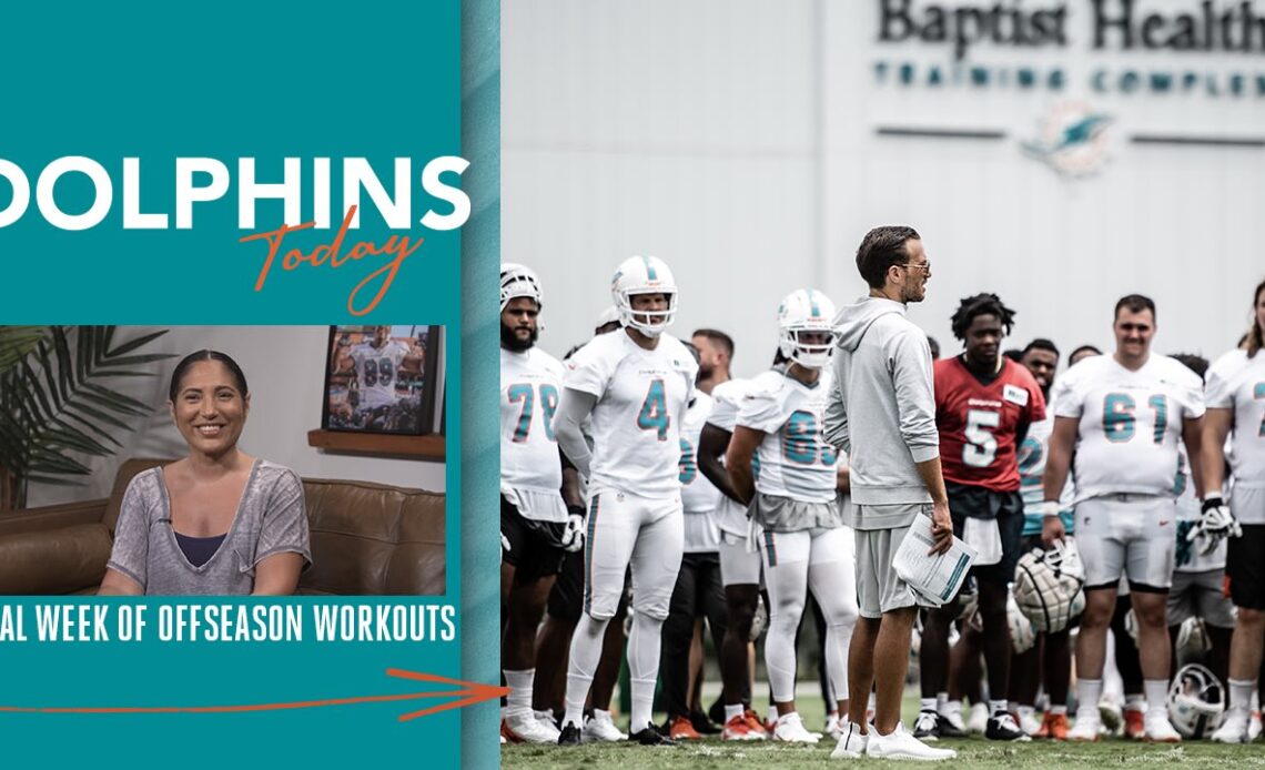 Final Week of Offseason Workouts | Dolphins Today - June 7