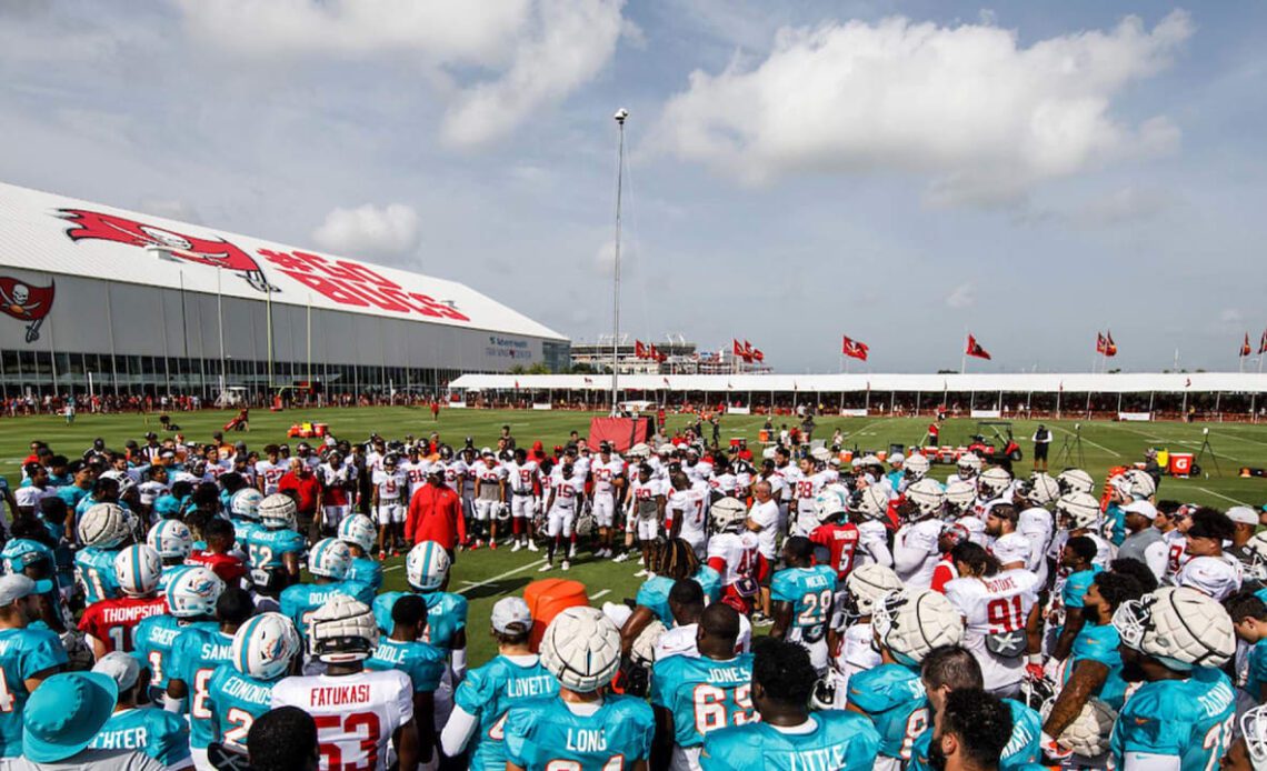 Dolphins Give Bucs a Different Look