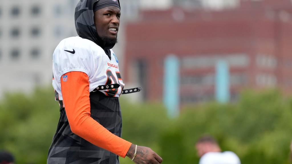 Bengals provide encouraging news on Tee Higgins after concussion