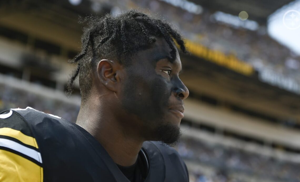 PHOTOS: Game faces - Steelers vs. Patriots