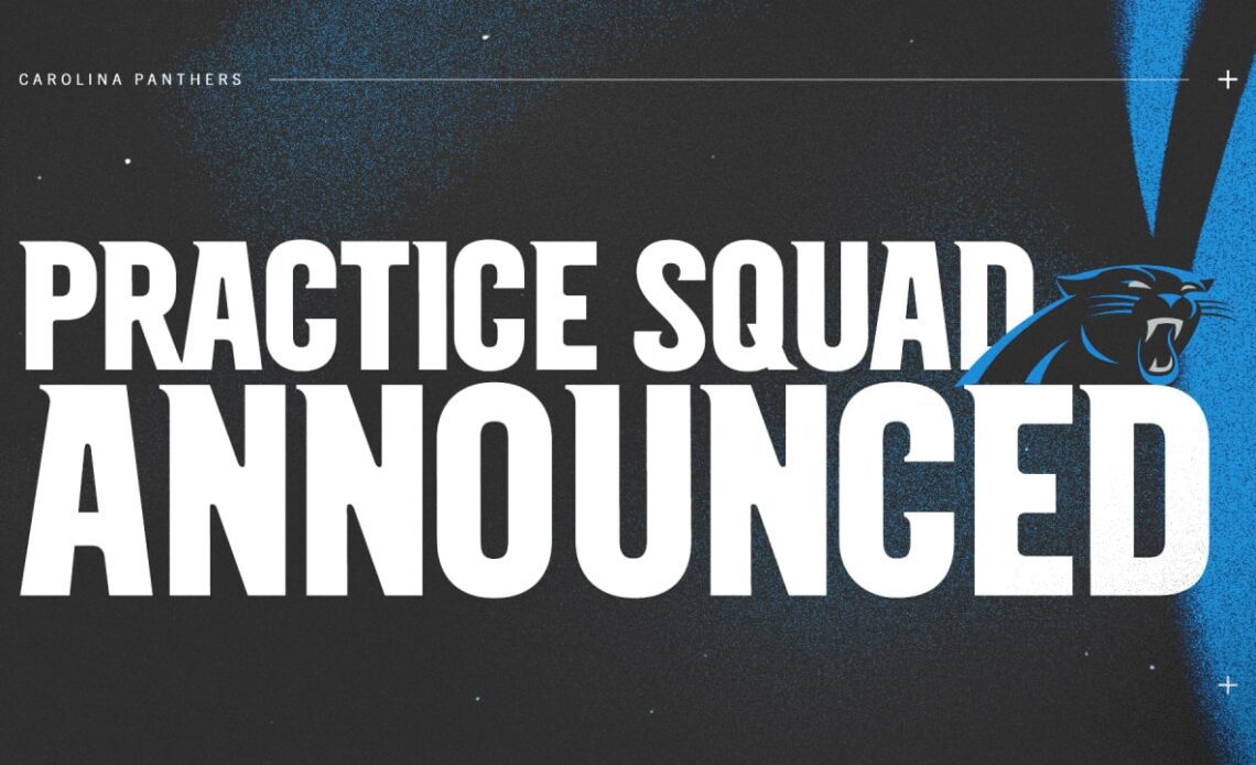 Panthers add 14 to practice squad