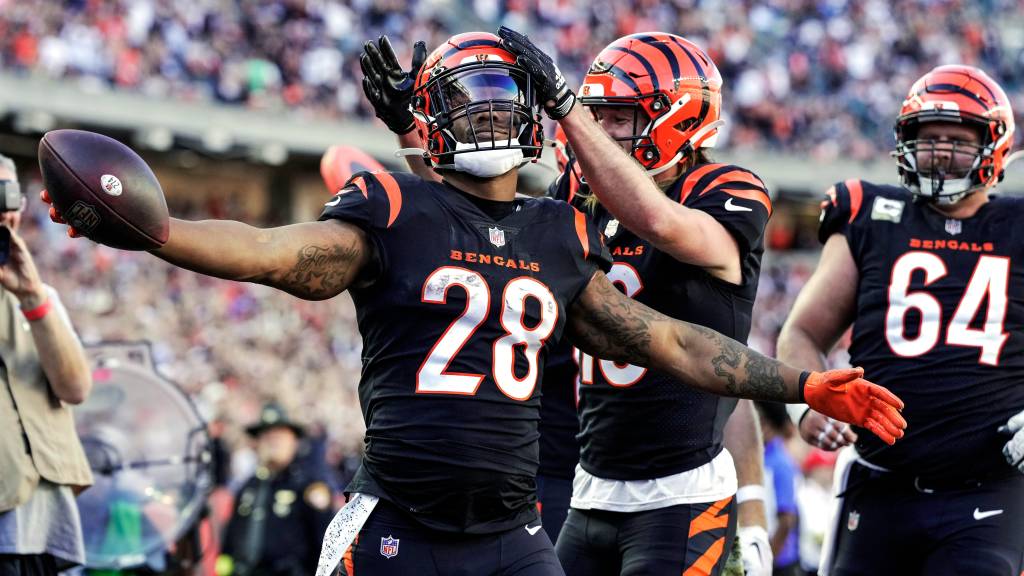 Best reactions after Bengals rout Panthers