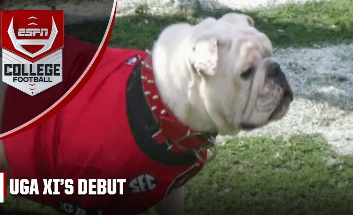 'Boom' UGA XI makes his debut at the Spring Game 🐶 VCP Football