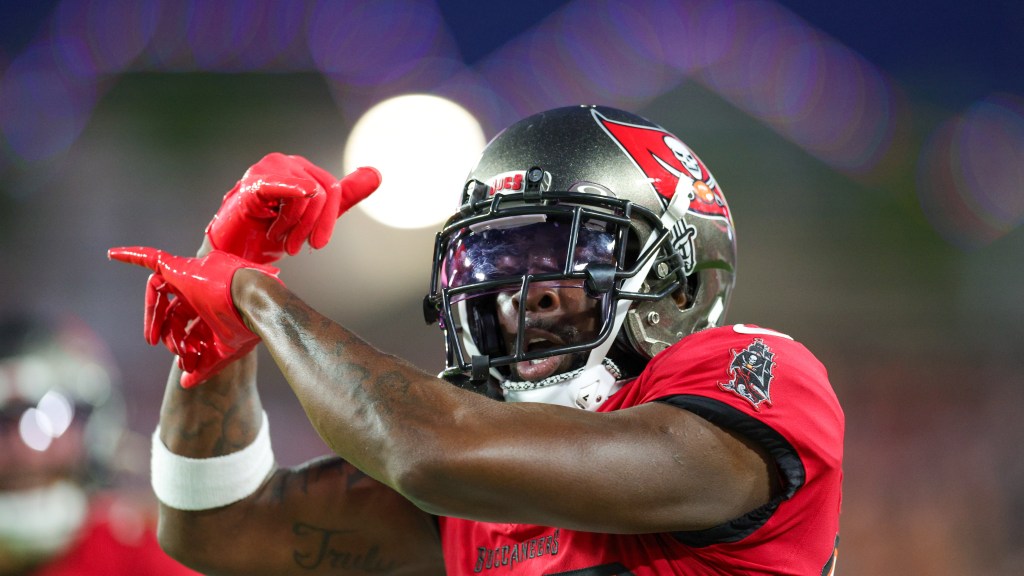 Buffalo Bills sign safety Dee Delaney