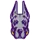 UAlbany Logo